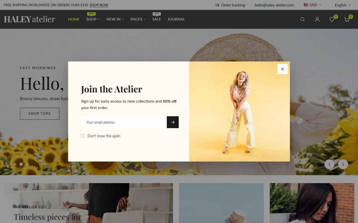 Newsletter popup on the Haley homepage